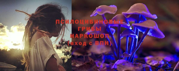 винт Аркадак