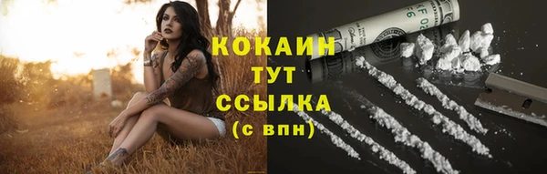spice Арсеньев