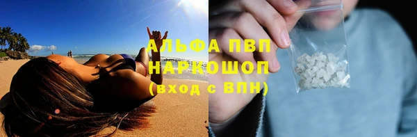 винт Аркадак