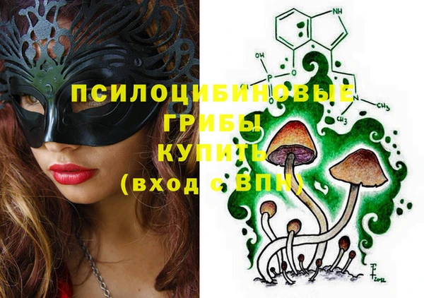 винт Аркадак