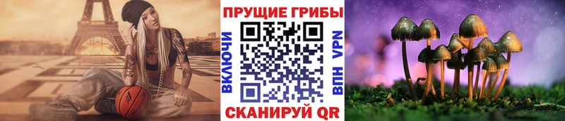 Псилоцибиновые грибы MAGIC MUSHROOMS  хочу наркоту  Артёмовск 